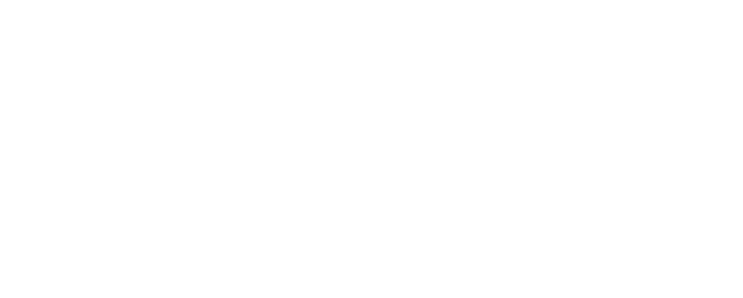 PT Pino Module Perkasa